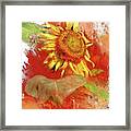 Sunflower In Red Framed Print