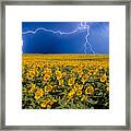 Sunflower Lightning Field Framed Print