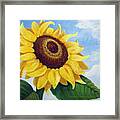 Sunflower Moment Framed Print