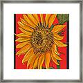 Da153 Sunflower On Red By Daniel Adams Framed Print
