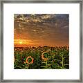 Sunflower Peak Framed Print