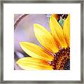 Sunflower Perspective Framed Print