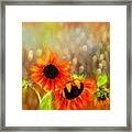 Sunflower Rain Framed Print