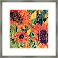 Sunflower Stitches And Paint Framed Print