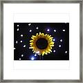 #sunflowers & #stars Series

#flower Framed Print
