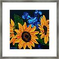 Sunflowers And Delphinium Framed Print