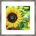 Yellow Sunflowers Flourish Visions Of Summer Framed Print
