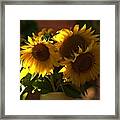 Sunflowers In A Vase Framed Print
