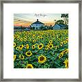 Sunflowers For Wishes Framed Print