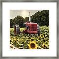 Sunny Acres Framed Print