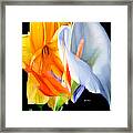 Sunny Bouquet Framed Print