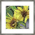 Sunny Daze Framed Print