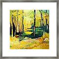 Sunny Meadow Framed Print