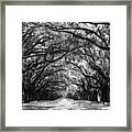 Sunny Southern Day - Black And White Framed Print