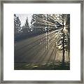 Sunrays Framed Print