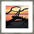 Sunrise At Driftwood Beach 3.1 Framed Print