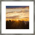Sunrise At The Treetops Framed Print