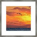 Sunrise Flight Framed Print