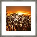 Sunrise Forest Silhouette Framed Print