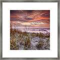 Sunrise In The Breeze Framed Print