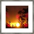 Sunrise Framed Print