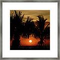 Sunrise Palm Window Delray Beach Florida Framed Print