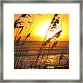 Sunrise Silhouette Framed Print