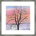 Sunrise Walnut Tree 2 Watercolor Painting Framed Print