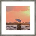 Sunrise With Ibis 10-26-16 Framed Print
