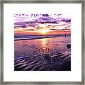 Sunrise With Sanderlings 11-26-16 Framed Print