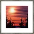Sunset And Trees Two Framed Print