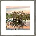 Sunset At The Everglades National Park Iii Framed Print