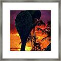 Sunset Beach Framed Print