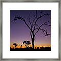 Sunset In Africa Framed Print