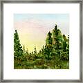 Sunset In The Forest Framed Print