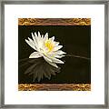 Sunset Lily Framed Print