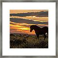Sunset On The Mustang Framed Print