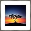 Sunset On The Tree Framed Print
