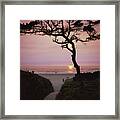 Sunset On The Zen Path Framed Print