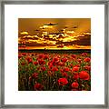 Sunset Poppies The Bbmf Framed Print