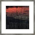 Sunset Reeds Framed Print