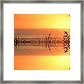 Sunset Reflection Framed Print