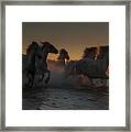 Sunset Run Framed Print