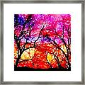 Sunset Tree Line Framed Print