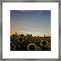 Sunset With Sunflowers At Andersen Farms Framed Print