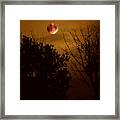 Super Harvest Blood Moon Over Warren Dunes Framed Print