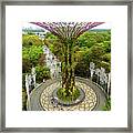 Super Trees 30 Framed Print