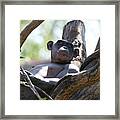 Superior Chimp Framed Print