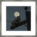 Supermoon Owl Framed Print