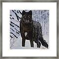 Surprise Encounter Framed Print